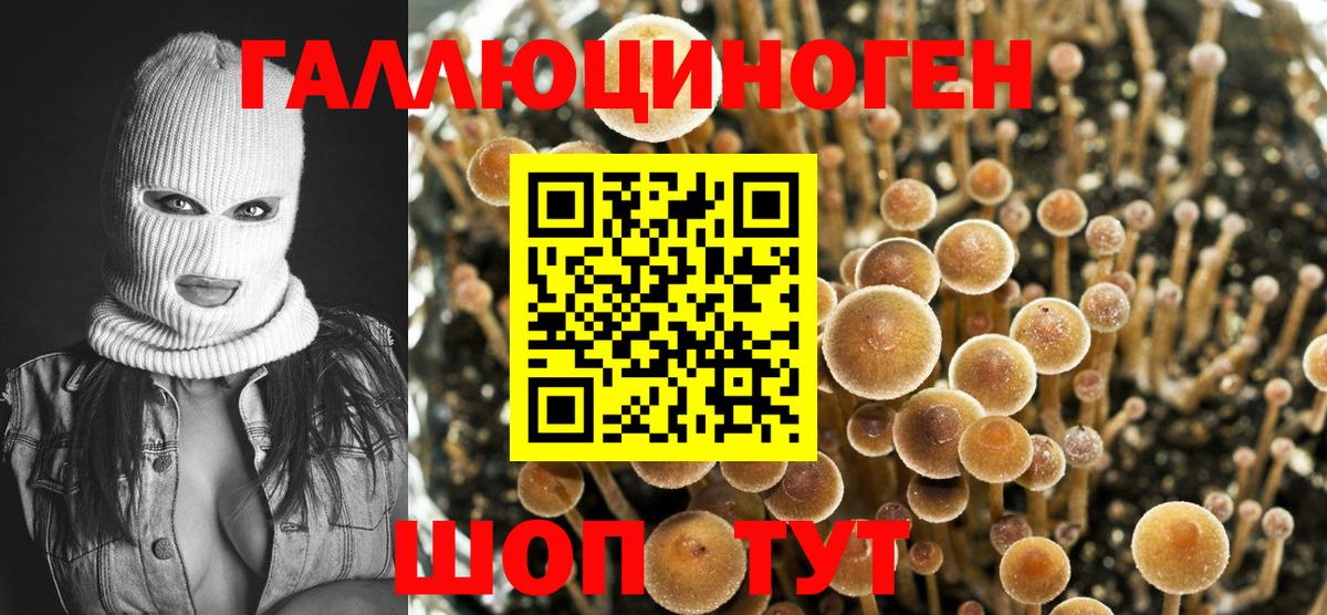 Новошахтинск  Галлюциногенные грибы MAGIC MUSHROOMS  Псилоцибиновые грибы ЛСД  Вход с VPN 