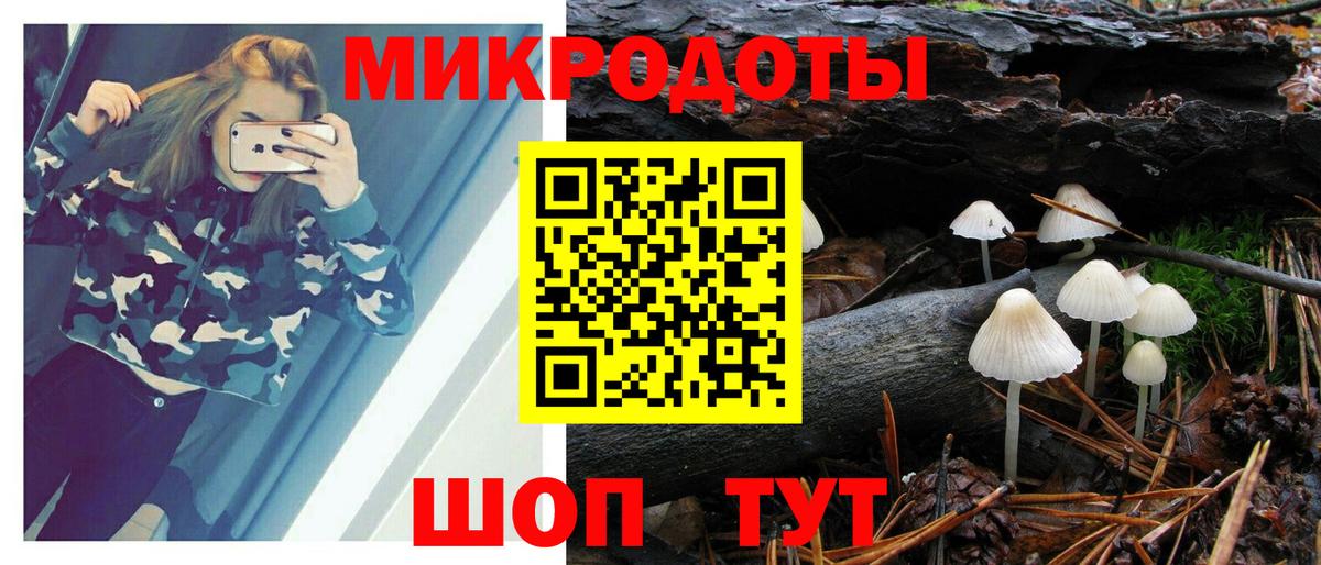 Галлюциногенные грибы MAGIC MUSHROOMS Новошахтинск